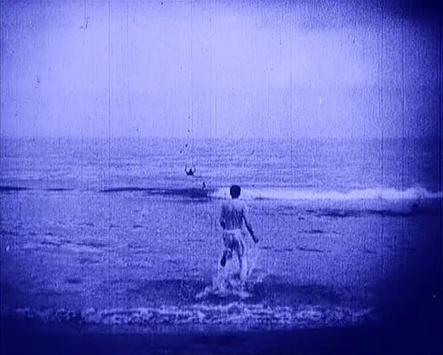 The Pleasure Garden 5