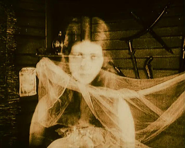 The Pleasure Garden 6