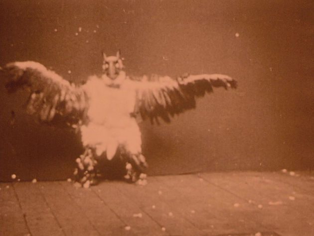 in the land of the head hunters 4