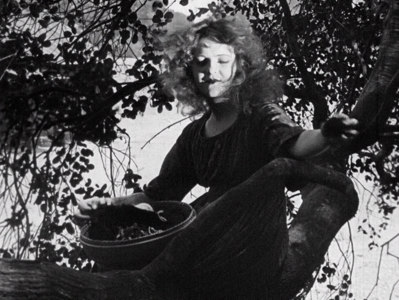 Straight Shooting 02