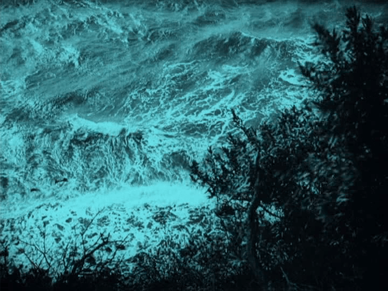 vlcsnap-2019-07-02-12h17m44s505