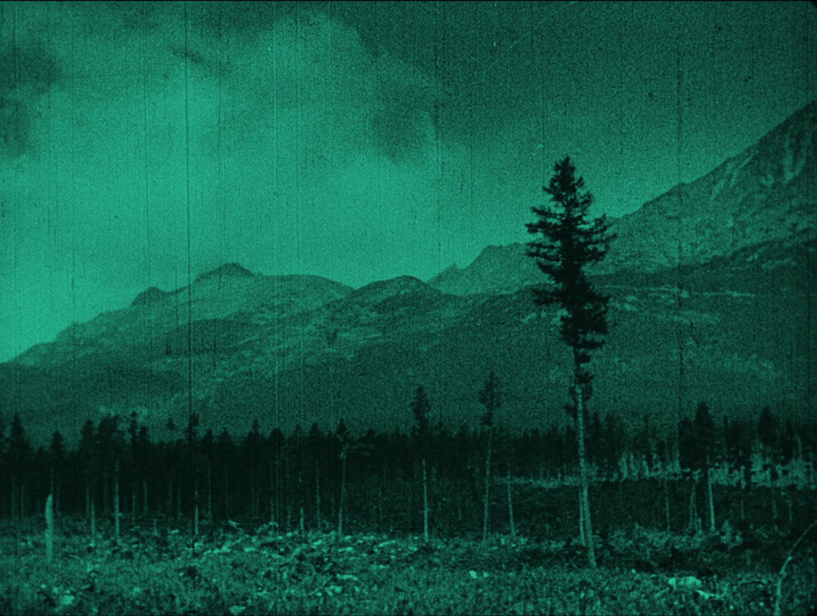 vlcsnap-2020-05-20-16h28m29s887