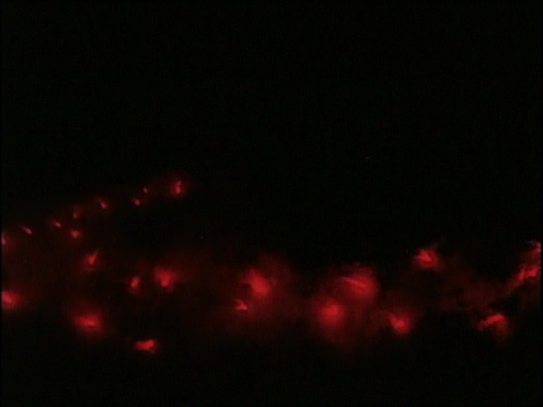 vlcsnap-2019-02-03-16h19m32s227