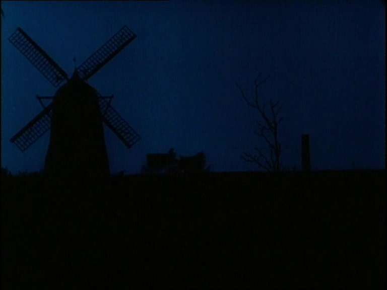 vlcsnap-2019-02-03-16h52m36s613