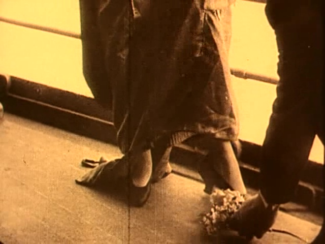 vlcsnap-2019-02-08-21h50m04s361