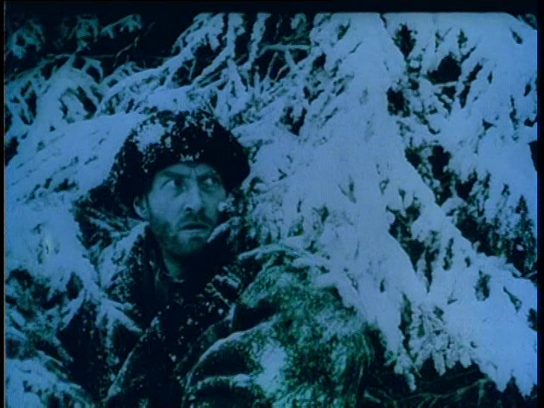 vlcsnap-2019-02-20-09h57m47s729