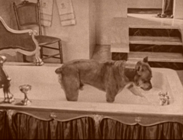 vlcsnap-2020-05-11-11h26m11s779